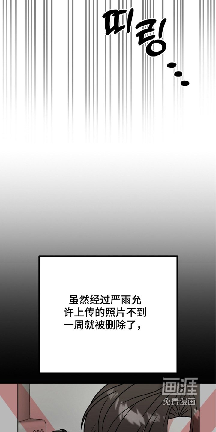 第148章：要不要去旅行