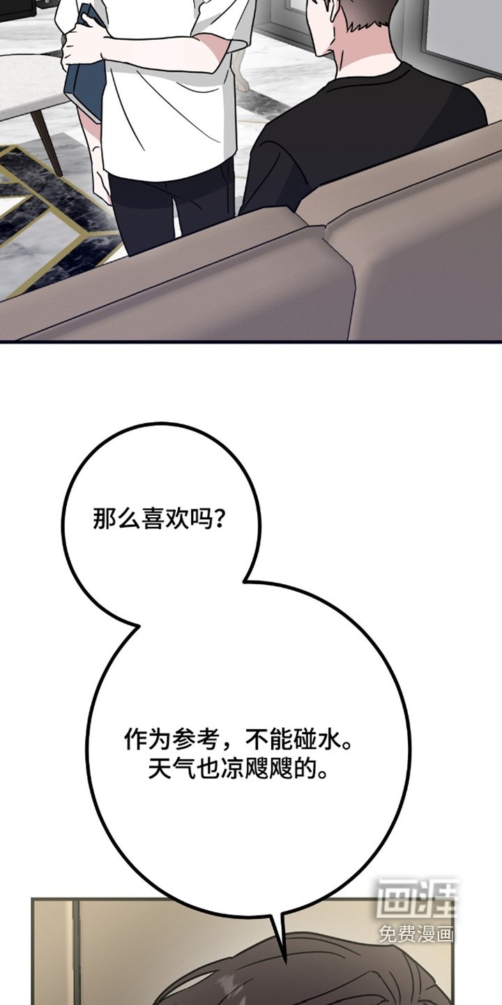 第148章：要不要去旅行