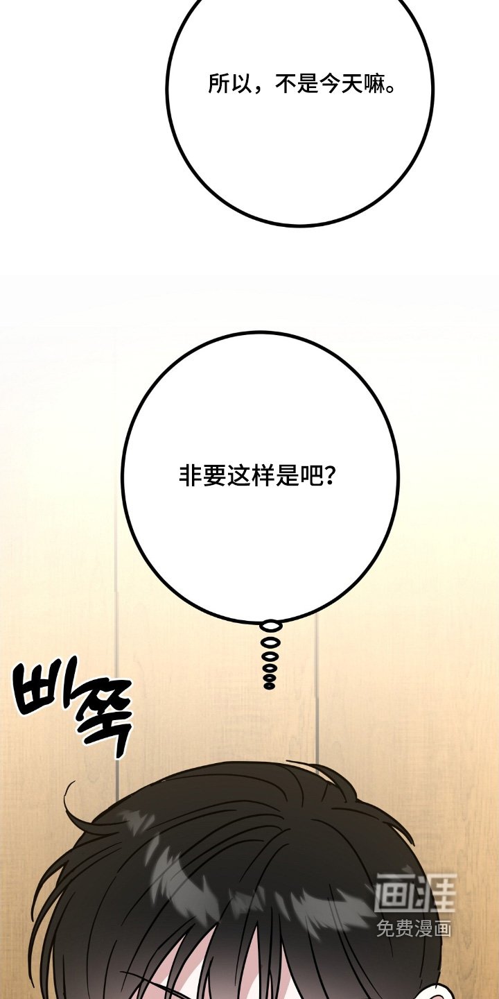 第155章：我是生日