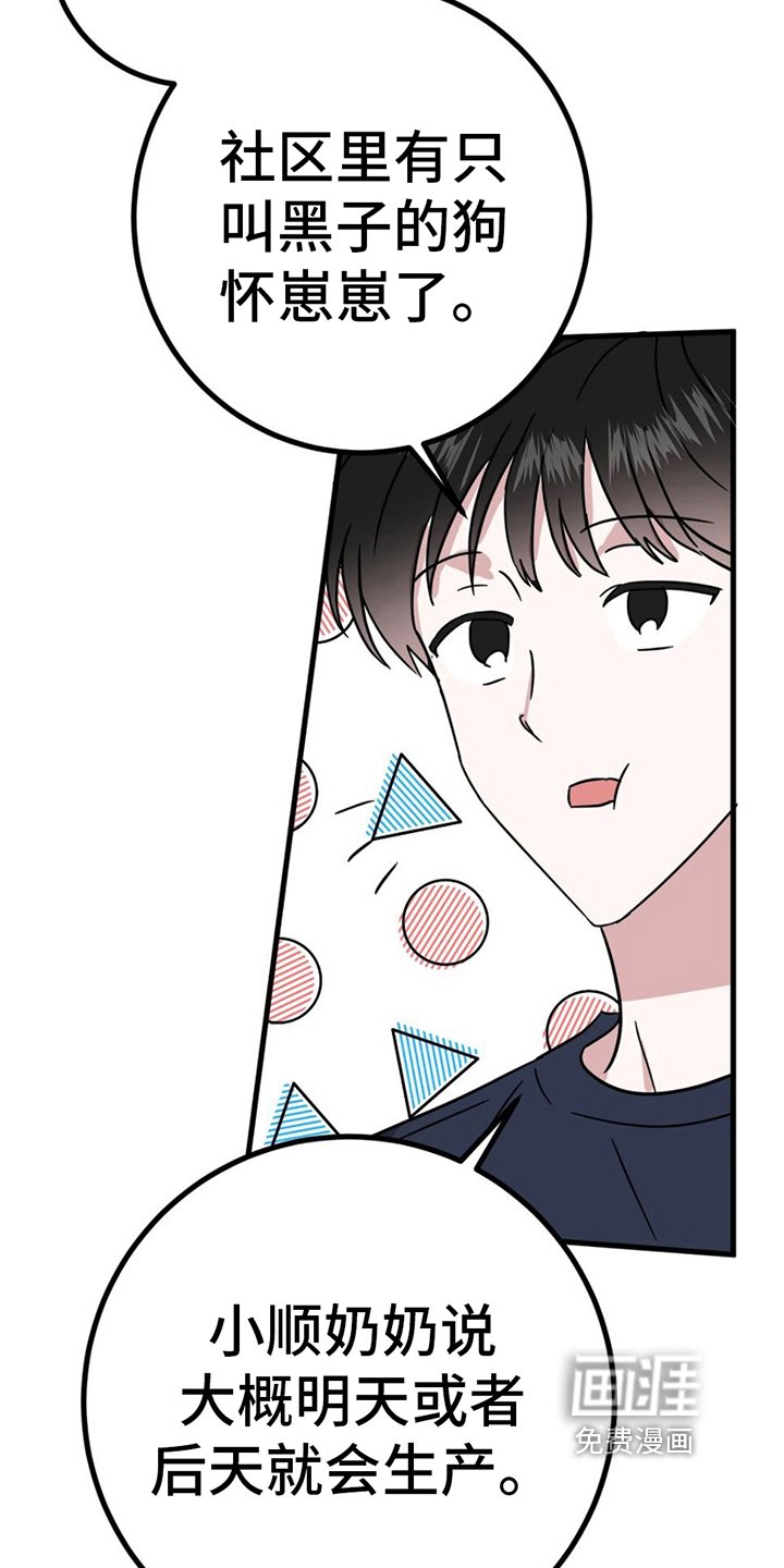 第16章：理由