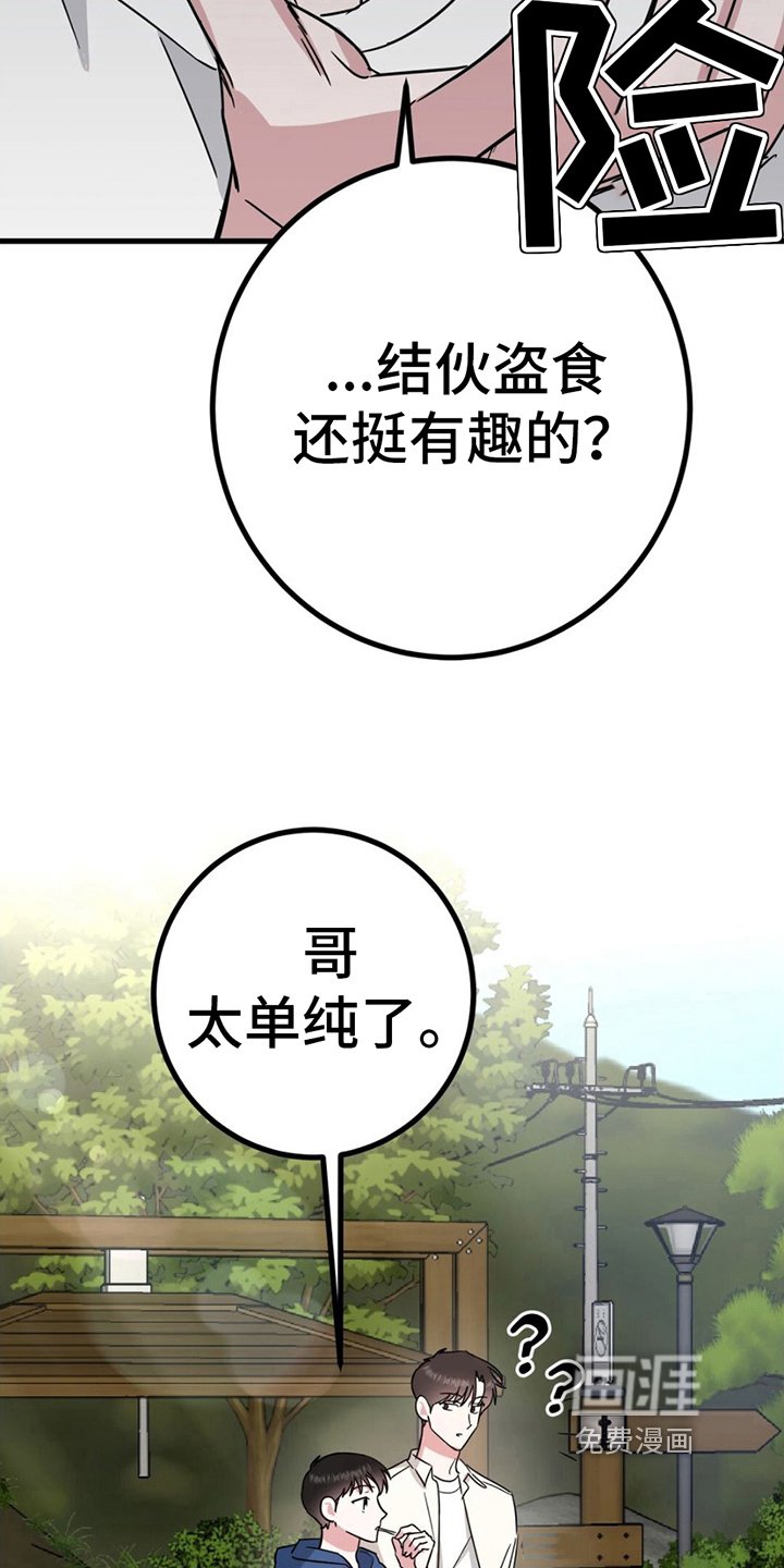第17章：又被骗了