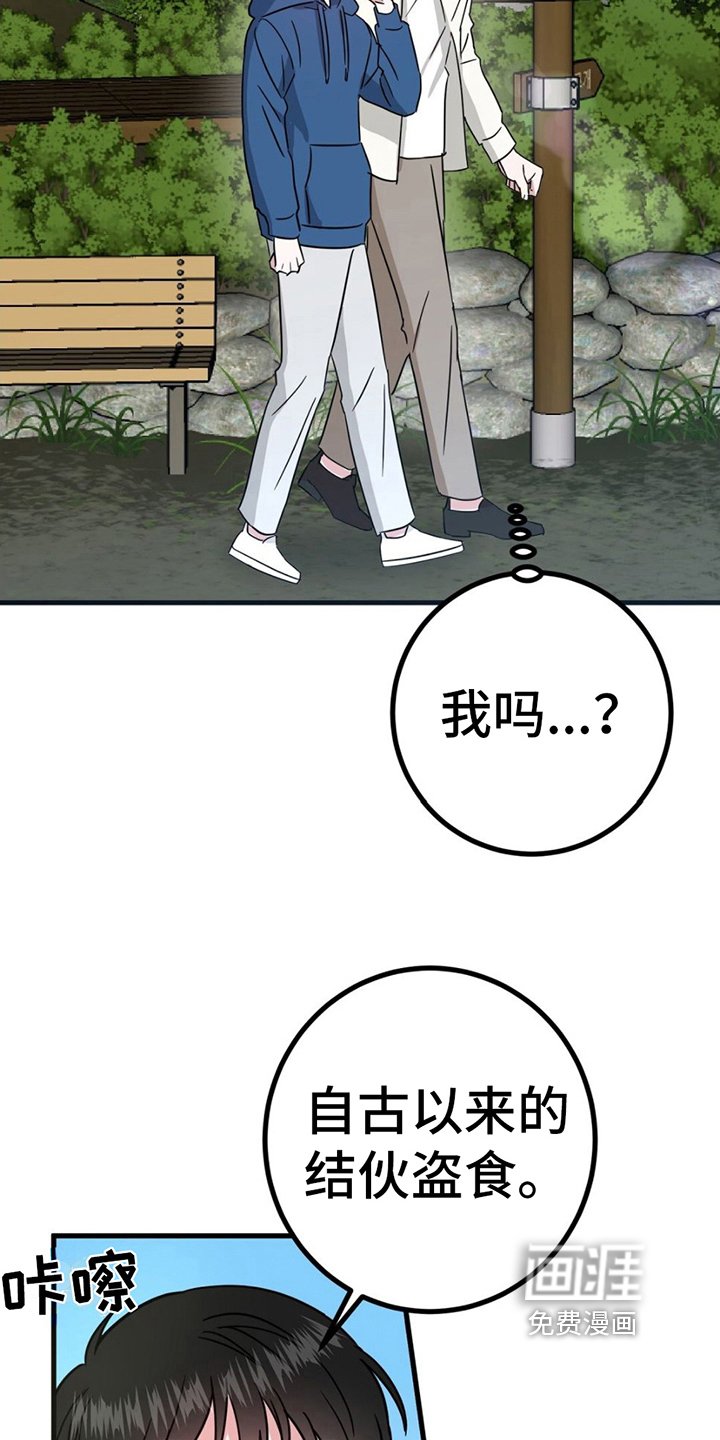 第17章：又被骗了