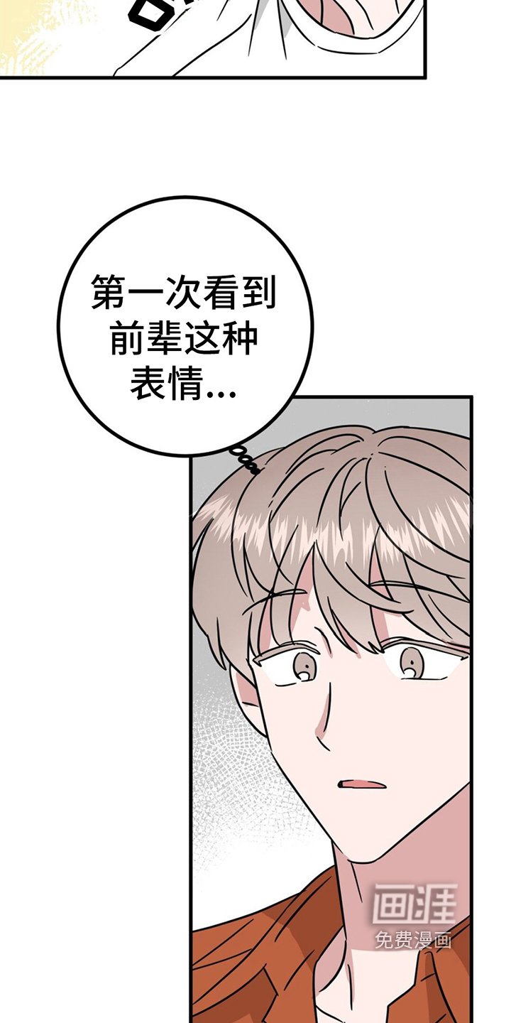 第22章：针对