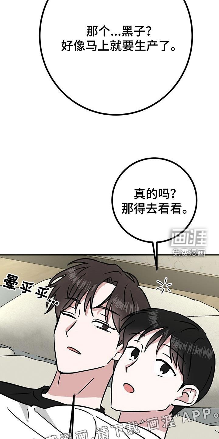 第27章：从小就努力