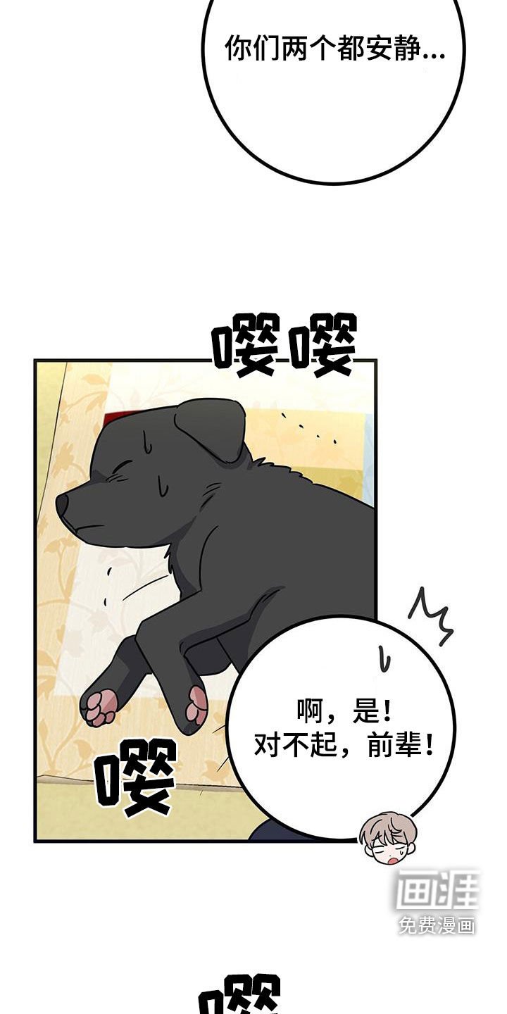 第28章：召唤