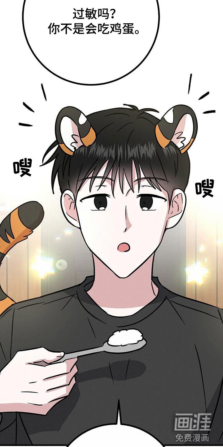 第28章：召唤