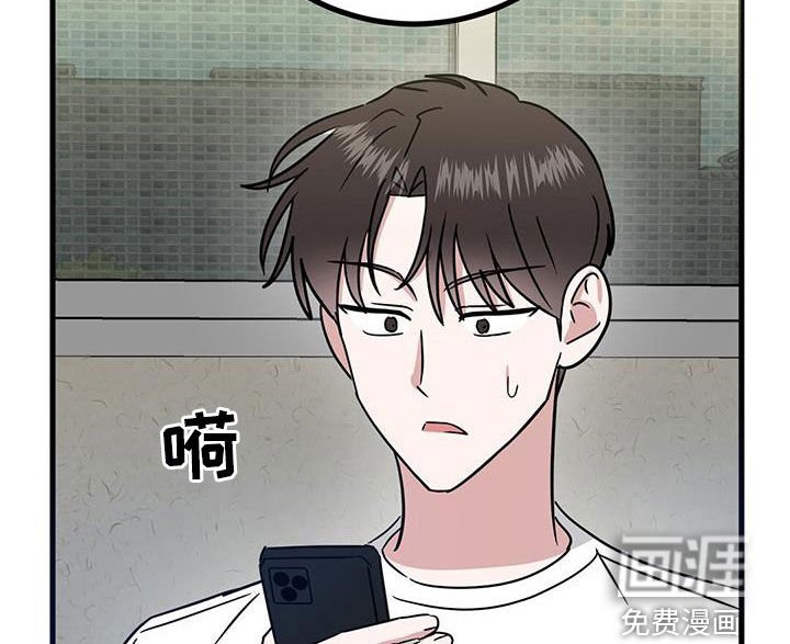 第29章：搜索