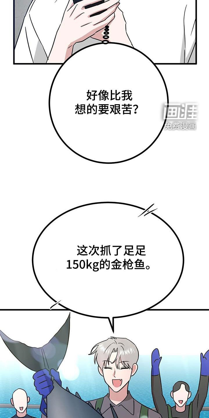 第29章：搜索