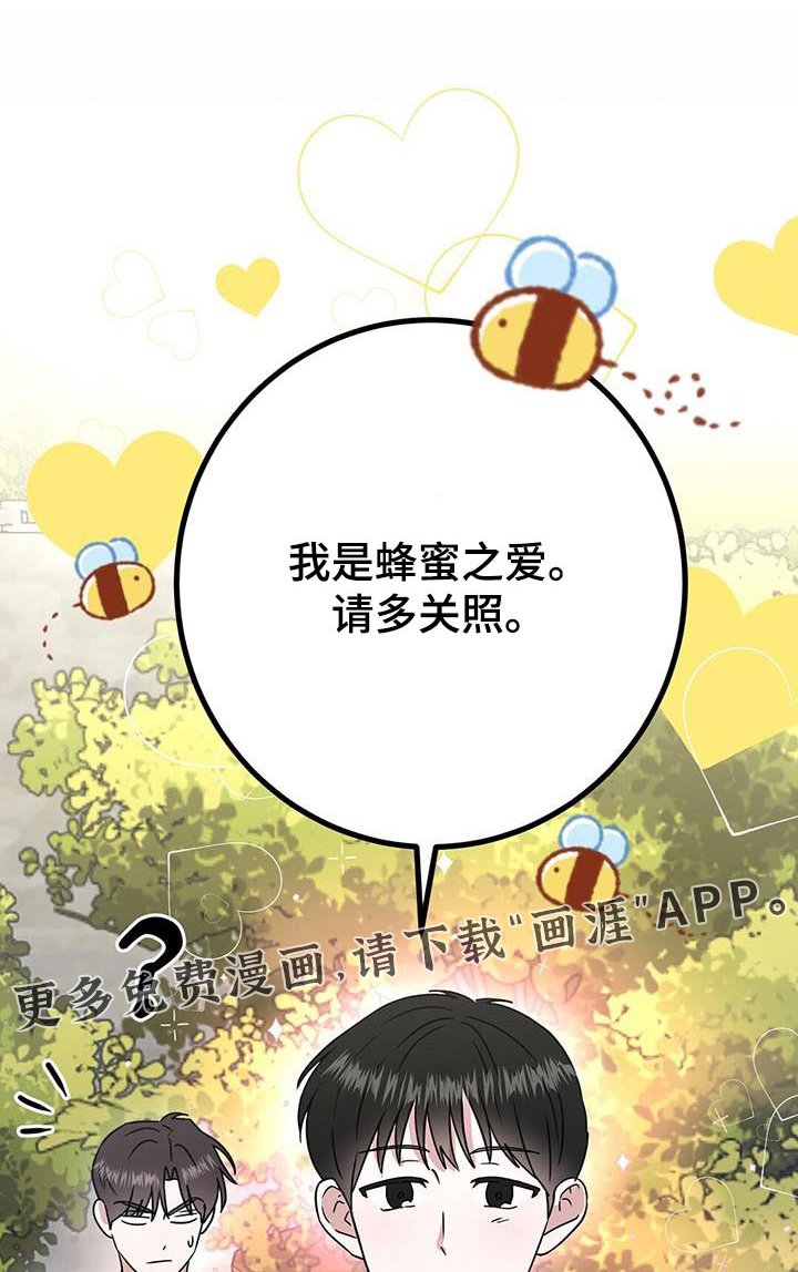 第34章：修饰