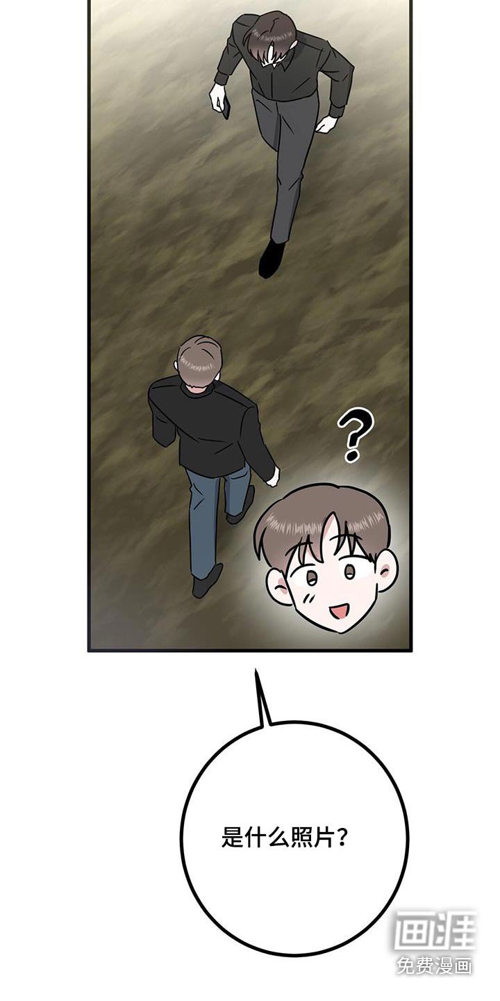 第34章：修饰