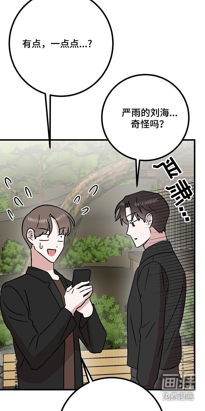第34章：修饰