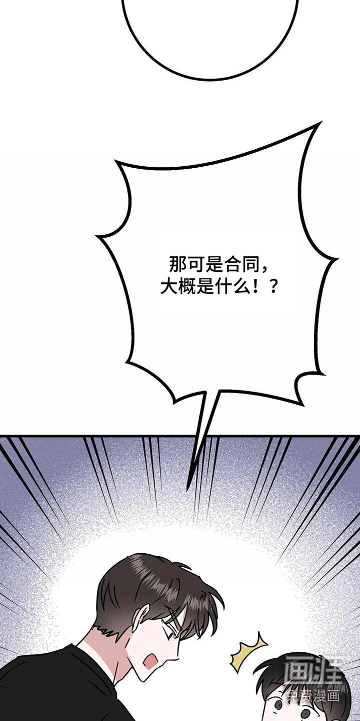 第41章：着想