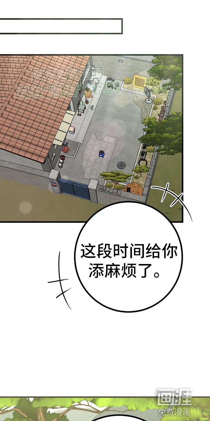 第45章：网红