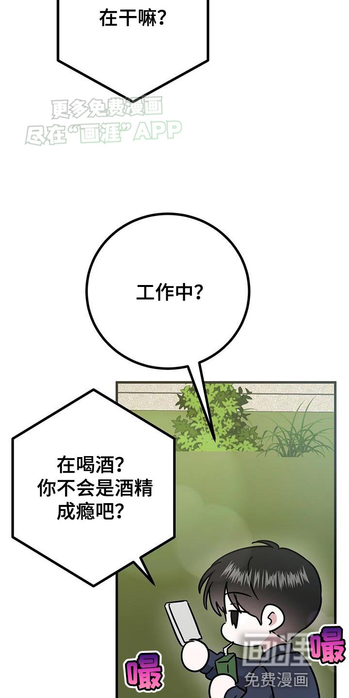 第46章：直播采访