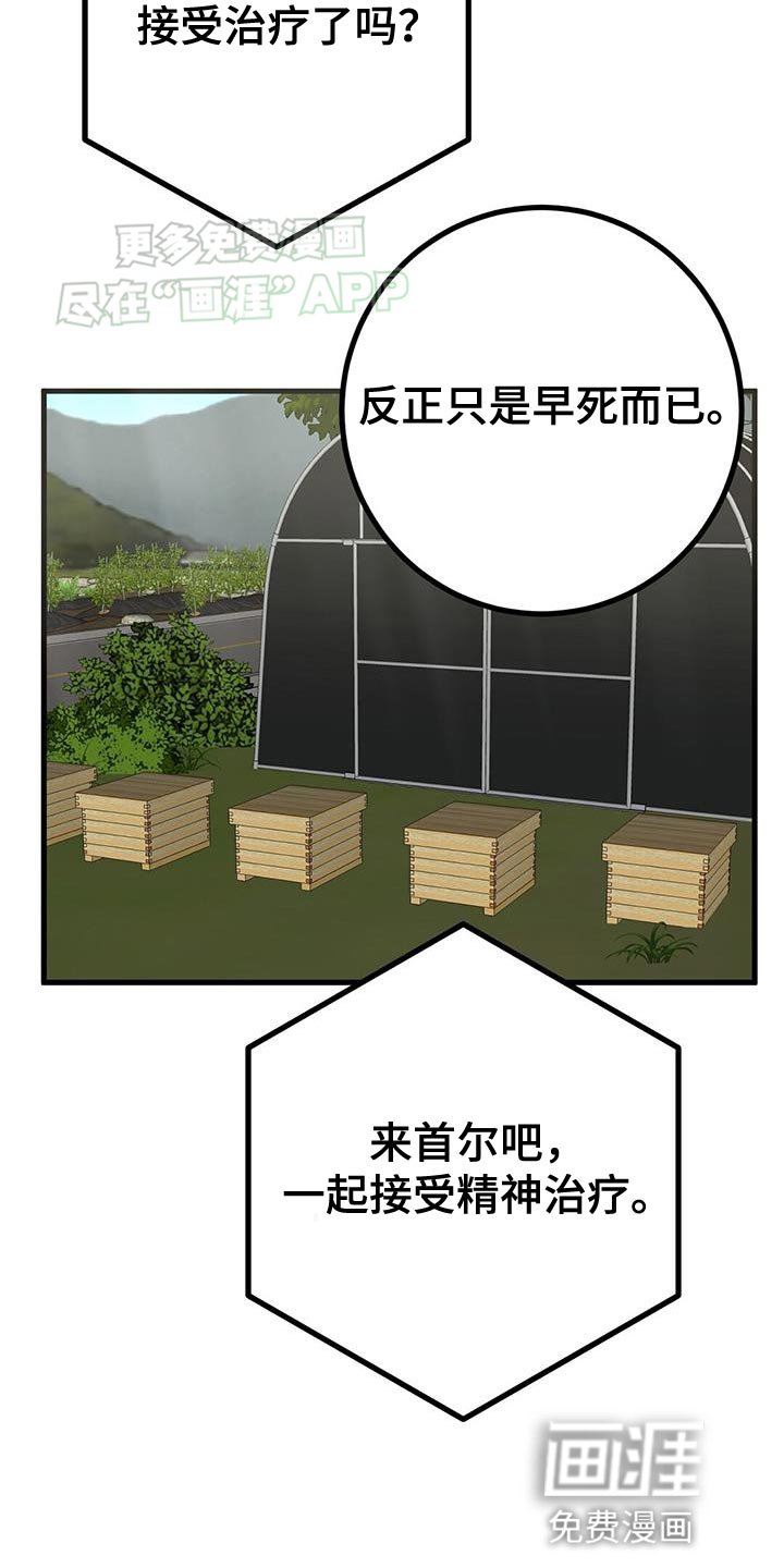 第46章：直播采访