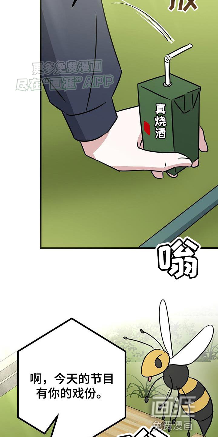 第46章：直播采访