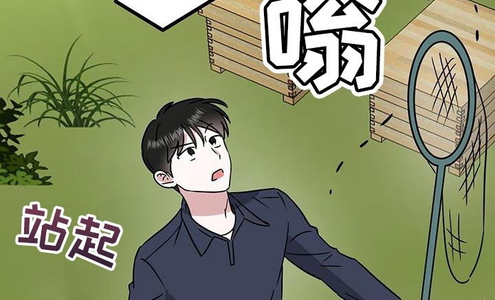 第46章：直播采访