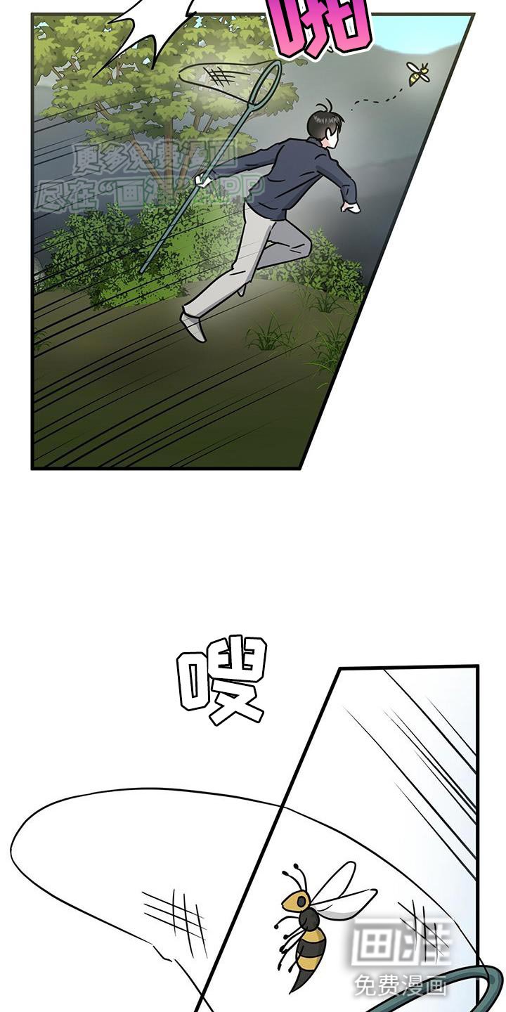 第46章：直播采访