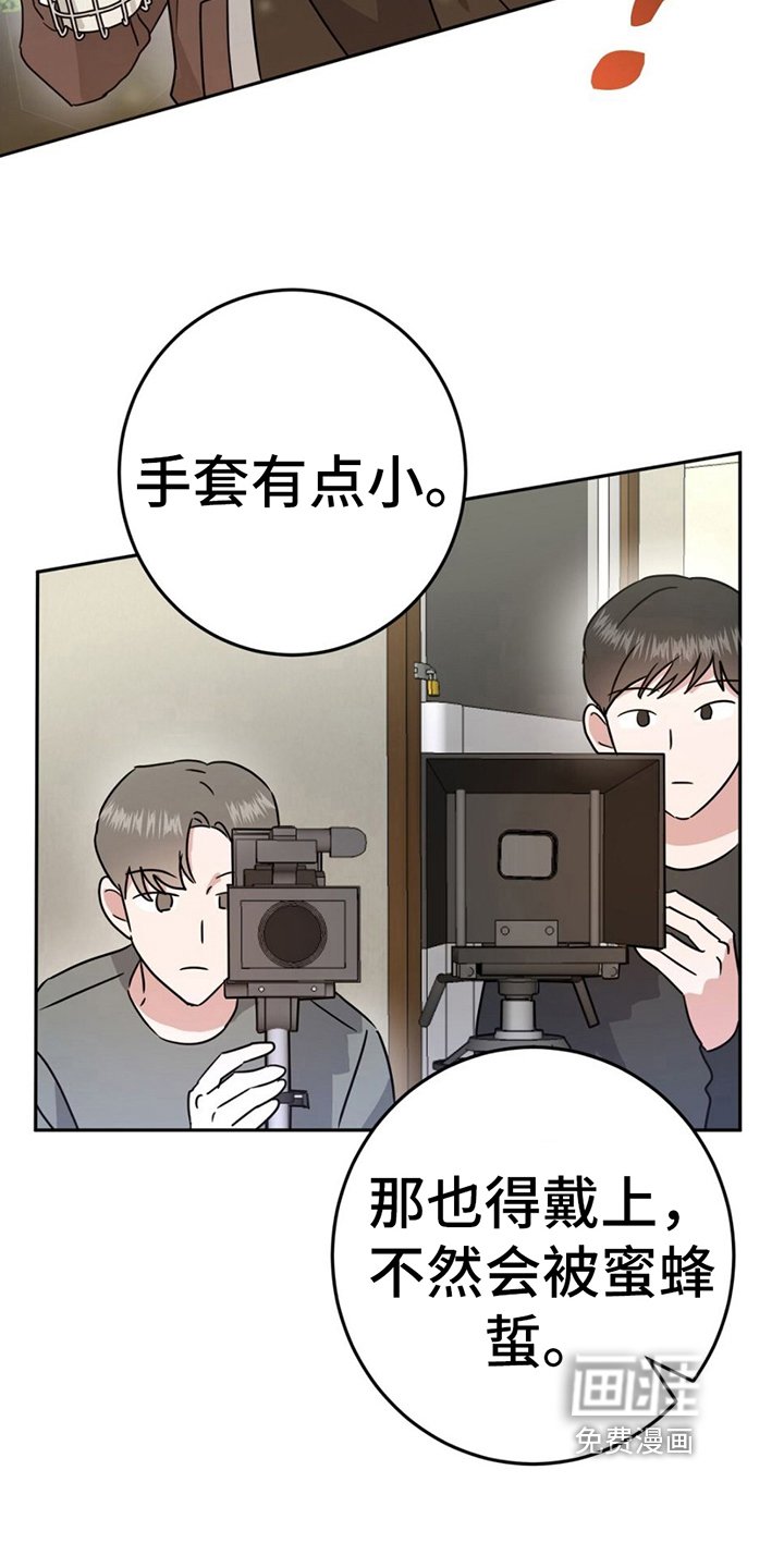 第7章：逞强