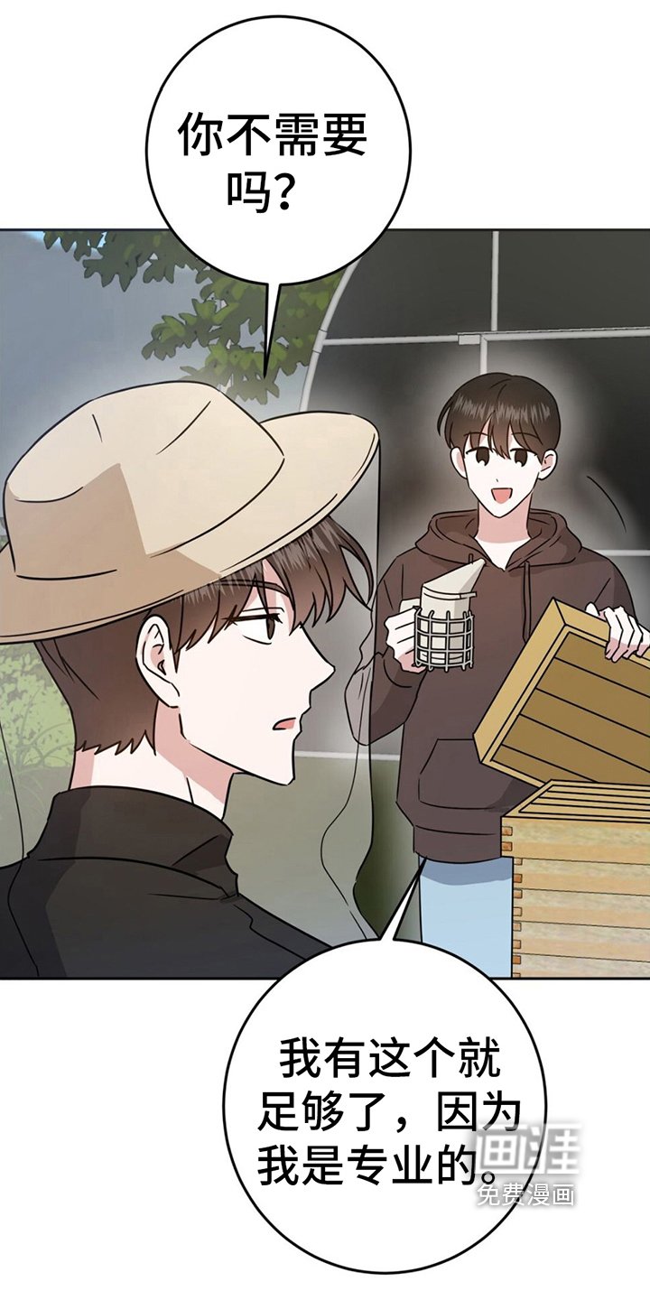 第7章：逞强