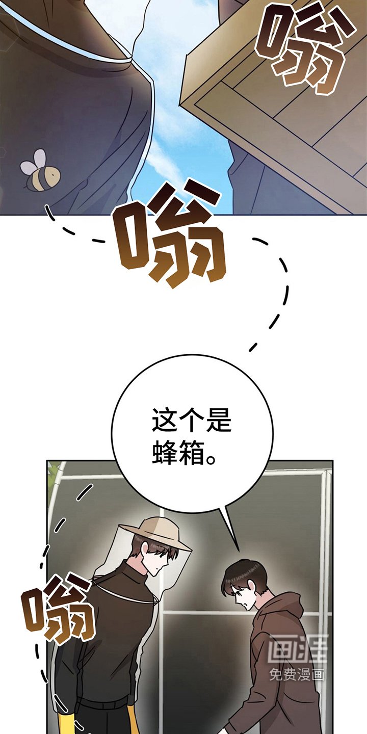 第7章：逞强
