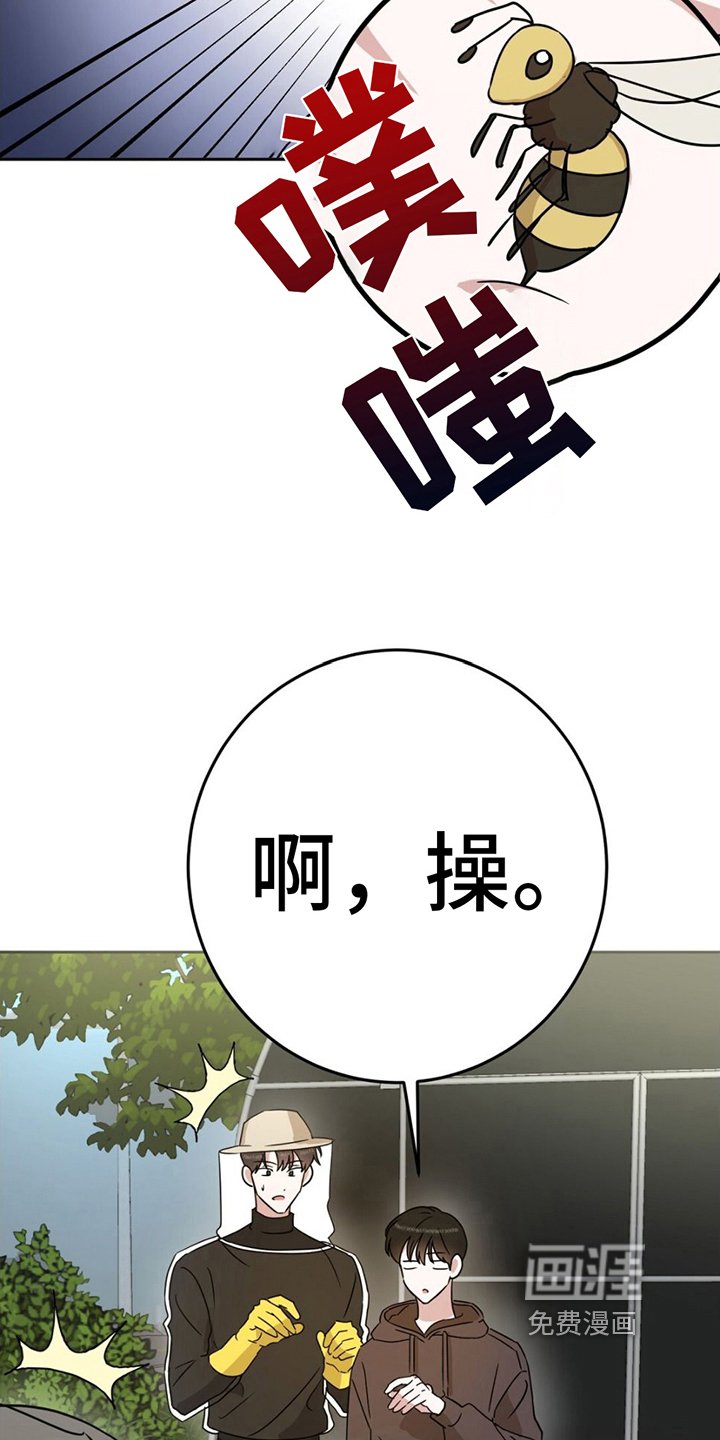 第7章：逞强