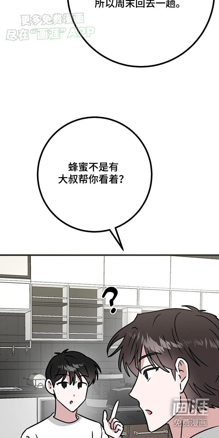 第74章：回去一趟