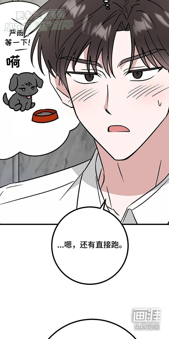 第74章：回去一趟
