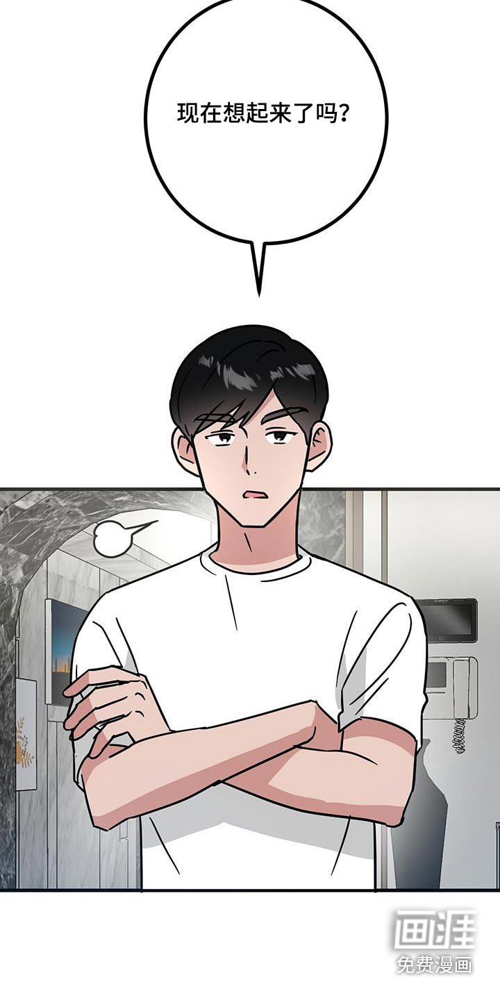 第87章：发生了什么