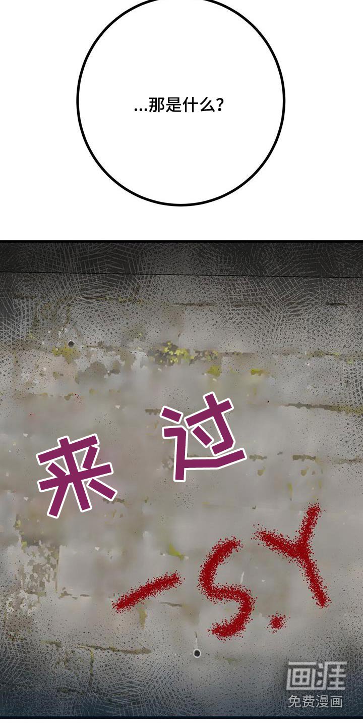 第87章：发生了什么