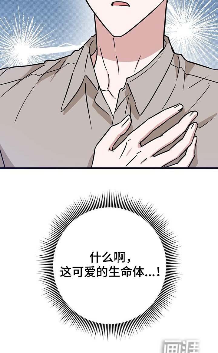 第98章：不行