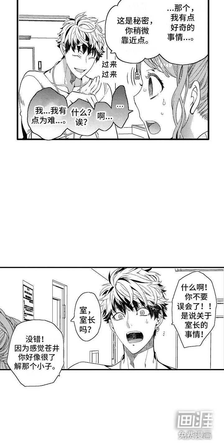 第11章：寻找弱点