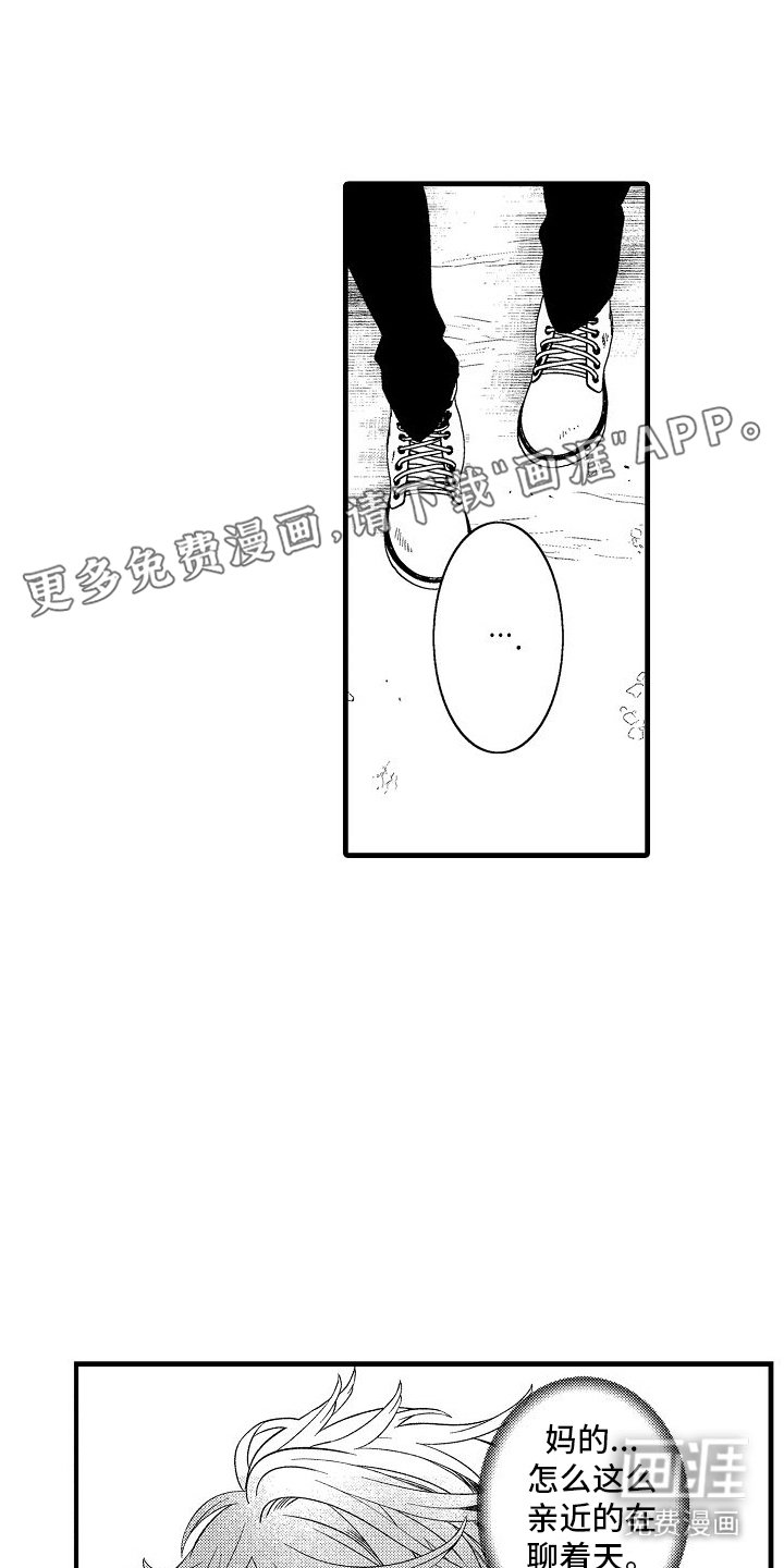 第17章：表扬