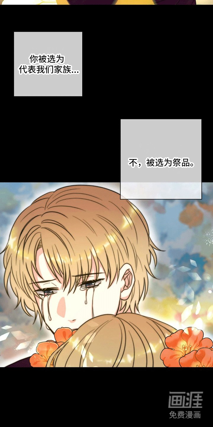 第10章：抓捕