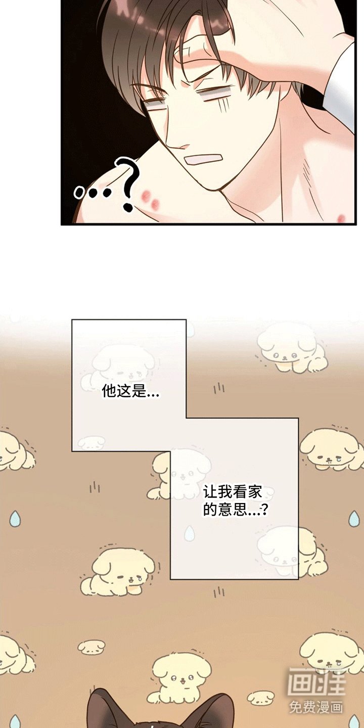 第11章：回家