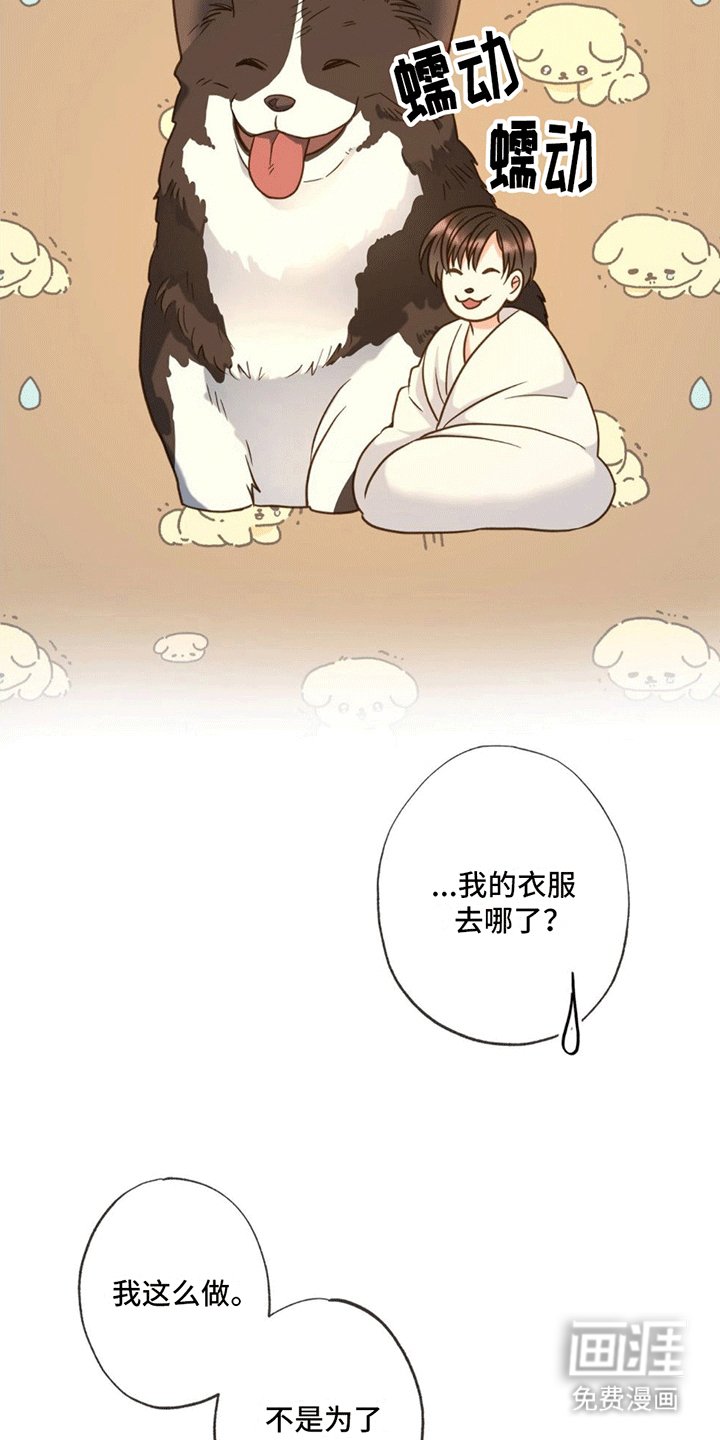 第11章：回家