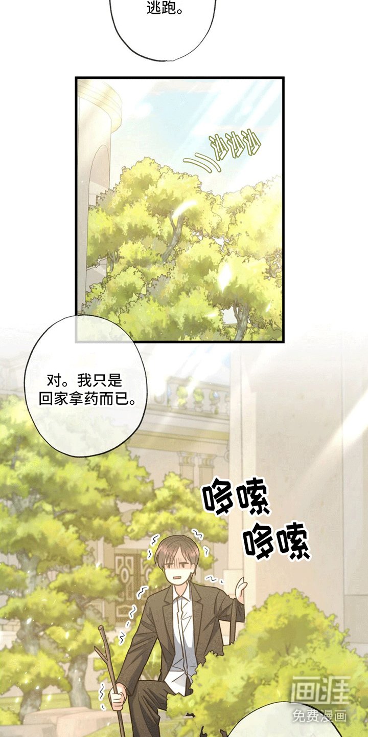 第11章：回家