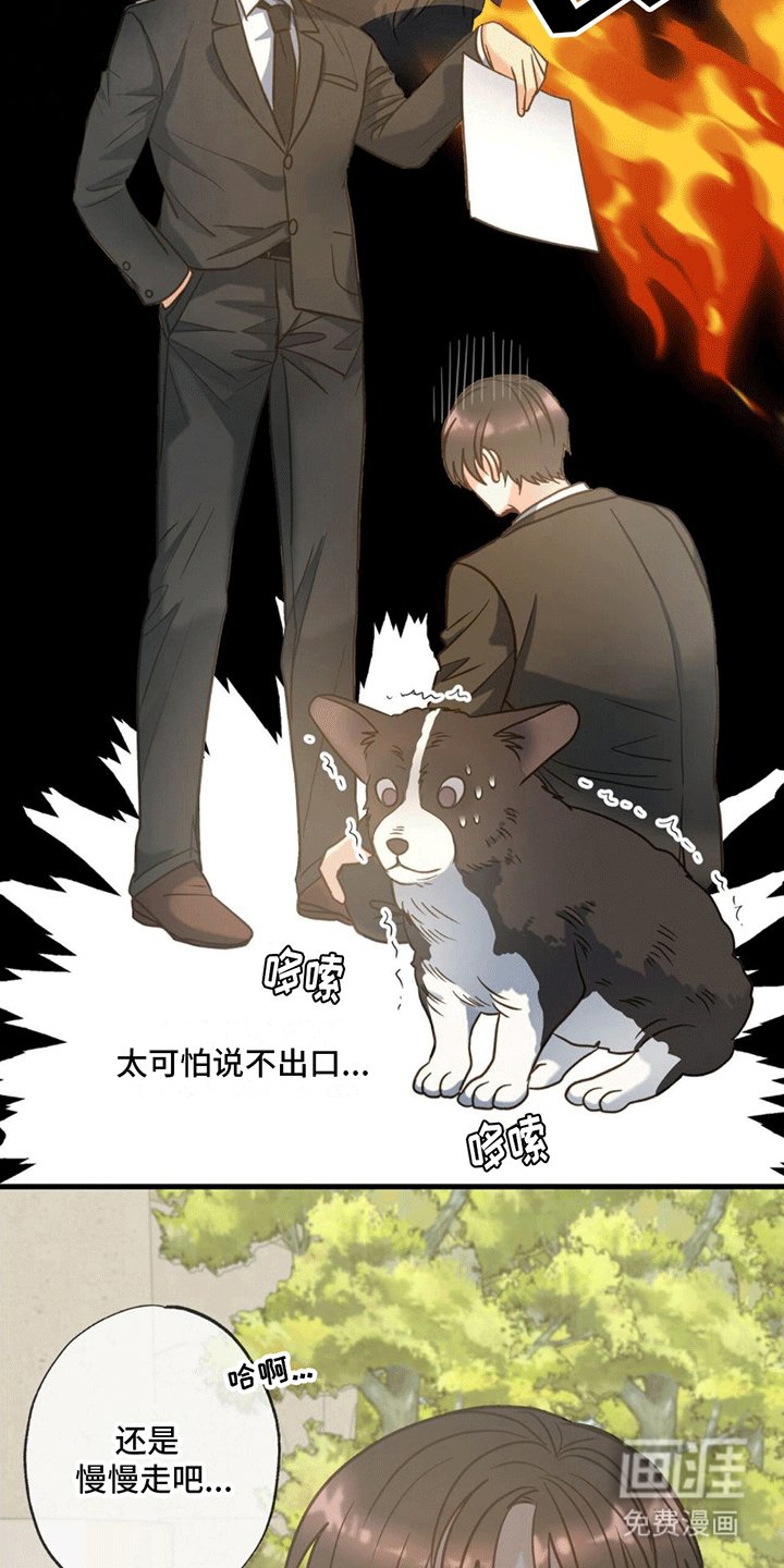 第11章：回家