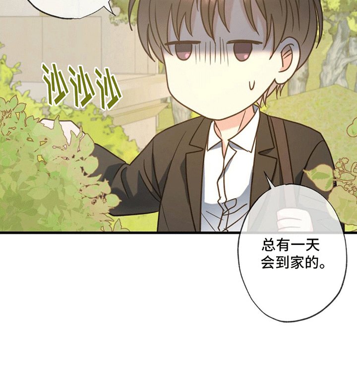 第11章：回家