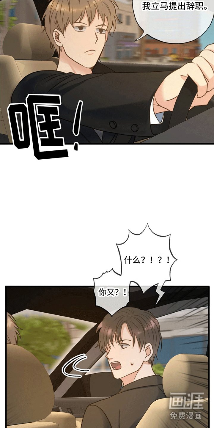 第11章：回家