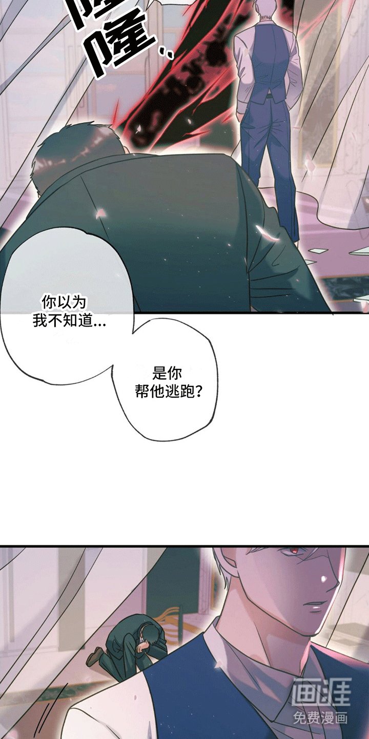 第13章：真相