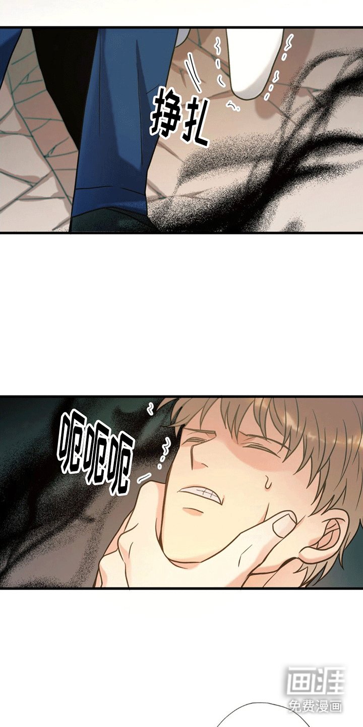 第13章：真相