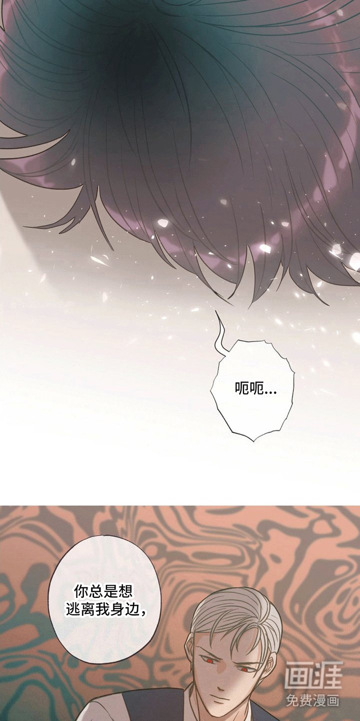 第14章：逆转