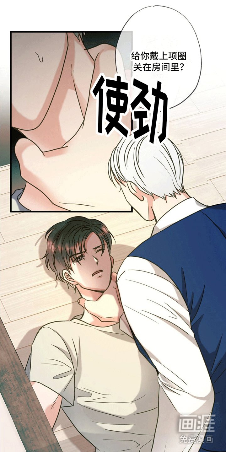 第14章：逆转