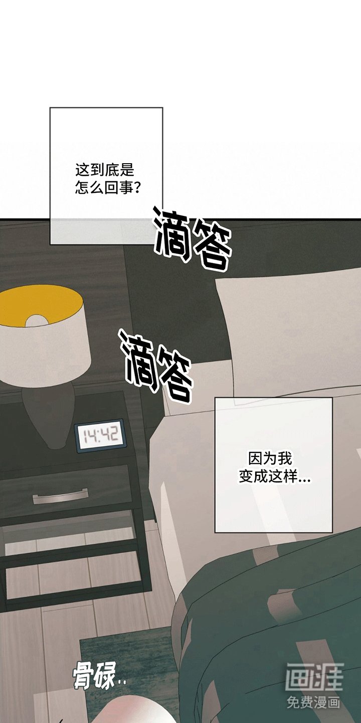 第14章：逆转