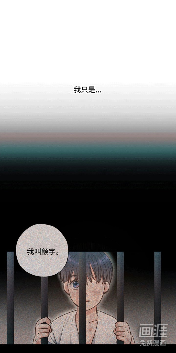 第14章：逆转