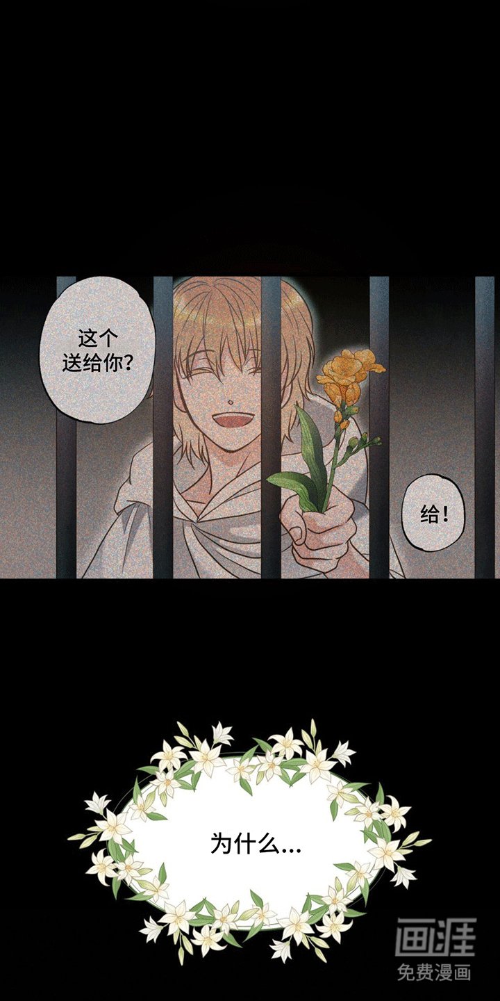 第14章：逆转