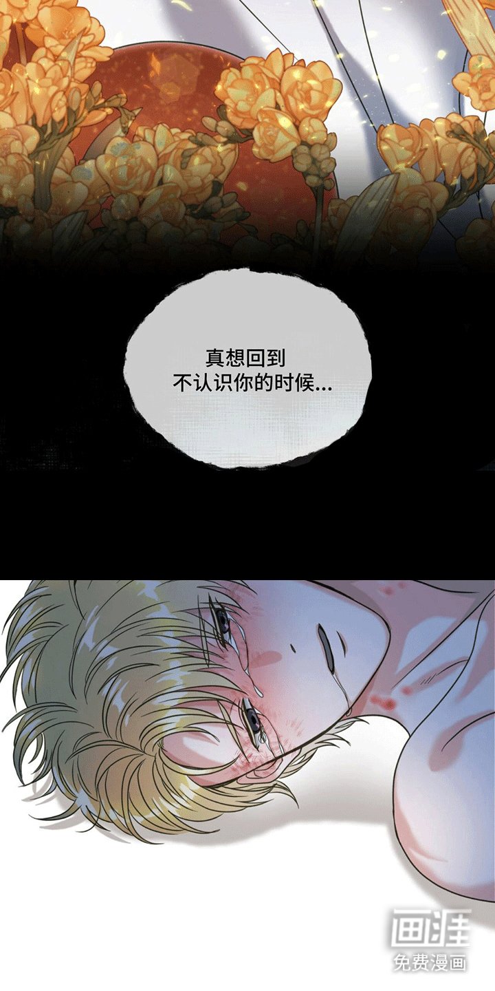 第14章：逆转