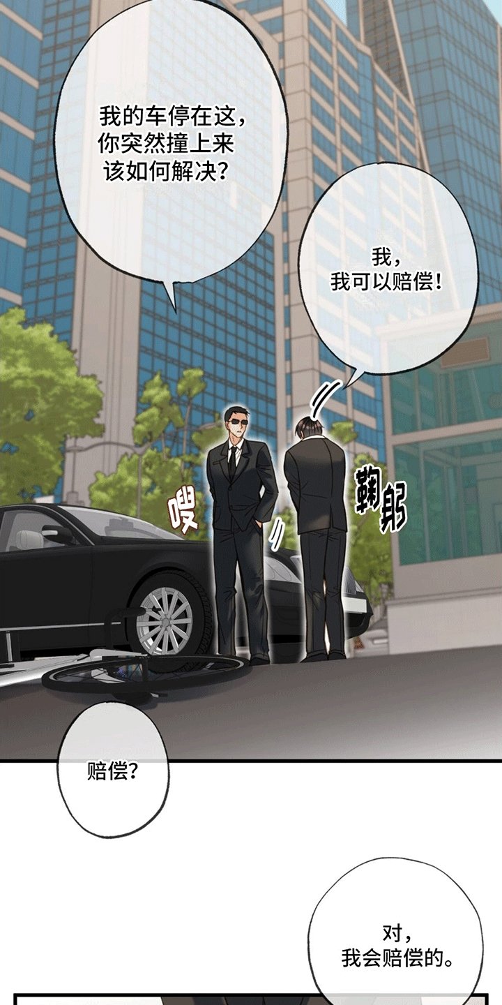 第2章：赔偿