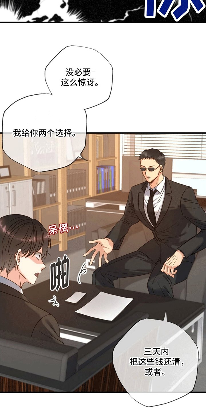第2章：赔偿